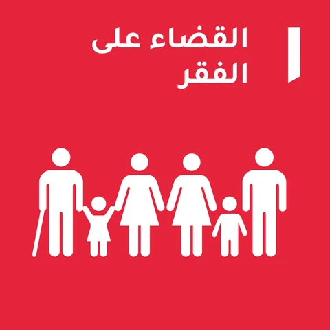 1. القضاء على الفقر