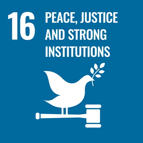 16. Peace, justice & strong institutions